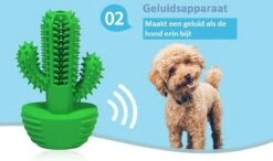Tandenborstel + TANDPASTA Hond Melk Geur Smaak En Piep Honden Speelgoed - Cactus Dog Toy Tandverzorging Kauwbotten Hondenspeelgoed Hondenbot Kauwstaaf Tanden Puppy Hondenspeeltje Sterk Kauwspeelgoed - Dutchwide 15 Tandenborstel + TANDPASTA Hond Melk Geur Smaak En Piep Honden Speelgoed - Cactus Dog Toy Tandverzorging Kauwbotten Hondenspeelgoed Hondenbot Kauwstaaf Tanden Puppy Hondenspeeltje Sterk Kauwspeelgoed - Dutchwide -Hondenbenodigdheden 1200x707