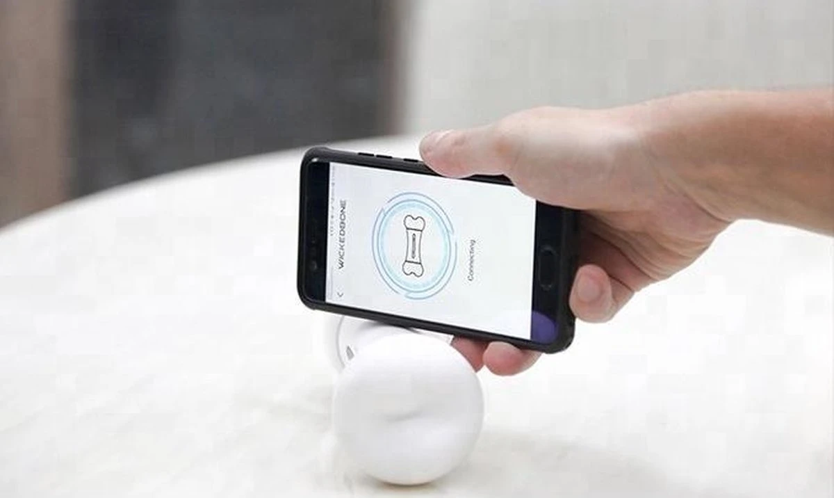 Wickedbone - Automatisch, Interactief En Intelligent Speelgoed Voor Honden - App & Bluetooth Bestuurbaar - USB Oplaadbaar 9 Wickedbone - Automatisch, Interactief En Intelligent Speelgoed Voor Honden - App & Bluetooth Bestuurbaar - USB Oplaadbaar - Afbeelding 9