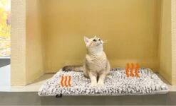 Merkloos Zelfverwarmende Dierendeken Zonder Stroom Thermo Deken Hond Kat Inclusief Adreslabel 70 X 47 Cm -Hondenbenodigdheden 1200x730 1