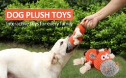 Merkloos Hondenknuffel - Interactief Piepspeelgoed Voor Honden - Teddy - Stoer Hondenkauwspeelgoed - Met Katoenen Materiaal En Gekreukt Papier - Hondenspeelgoed Voor Grote En Kleine Honden 12 Merkloos Hondenknuffel - Interactief Piepspeelgoed Voor Honden - Teddy - Stoer Hondenkauwspeelgoed - Met Katoenen Materiaal En Gekreukt Papier - Hondenspeelgoed Voor Grote En Kleine Honden -Hondenbenodigdheden 1200x742 3