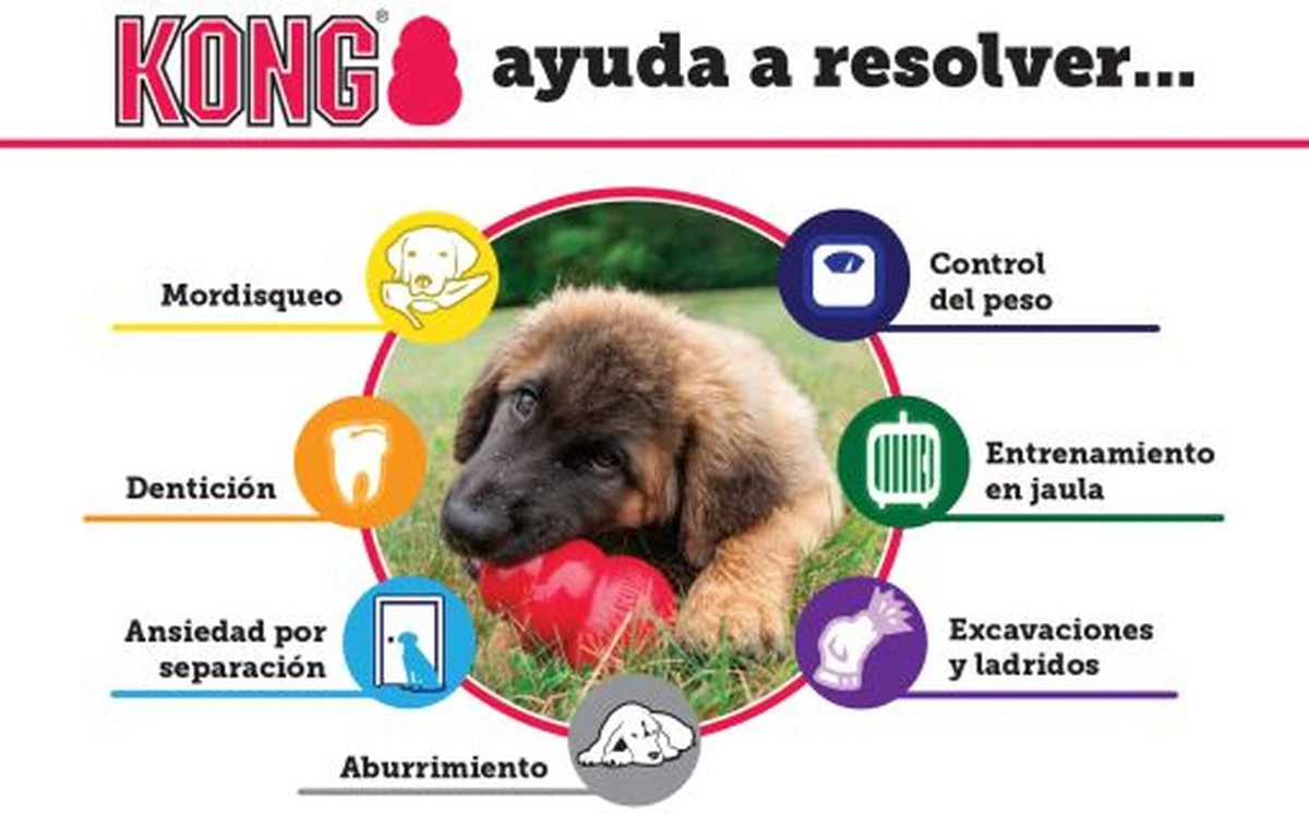 Kong Kauwbot - Hondenspeelgoed - Rood - M 11 Kong Kauwbot - Hondenspeelgoed - Rood - M - Afbeelding 11