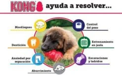 Kong Kauwbot - Hondenspeelgoed - Rood - S 17 Kong Kauwbot - Hondenspeelgoed - Rood - S -Hondenbenodigdheden 1200x745 3