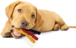 Nylabone Kauwbot - Puppy Kauwspeelgoed - Sleutels Met Baconsmaak - X-Small 16 Nylabone Kauwbot - Puppy Kauwspeelgoed - Sleutels Met Baconsmaak - X-Small -Hondenbenodigdheden 1200x752