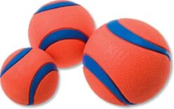 Chuckit! Chuckit Ultra Ball - XXL - 11 Cm -Hondenbenodigdheden 1200x753 3