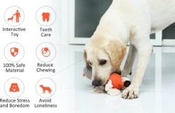 Merkloos Hondenknuffel - Interactief Piepspeelgoed Voor Honden - Teddy - Stoer Hondenkauwspeelgoed - Met Katoenen Materiaal En Gekreukt Papier - Hondenspeelgoed Voor Grote En Kleine Honden 15 Merkloos Hondenknuffel - Interactief Piepspeelgoed Voor Honden - Teddy - Stoer Hondenkauwspeelgoed - Met Katoenen Materiaal En Gekreukt Papier - Hondenspeelgoed Voor Grote En Kleine Honden -Hondenbenodigdheden 1200x777 1