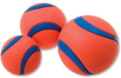 Chuckit! Chuckit Ultra Ball - XXL - 11 Cm -Hondenbenodigdheden 1200x781 3