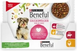 Beneful Pouch - Hondenvoer Kip & Rund In Saus - 40 X 100 G -Hondenbenodigdheden 1200x796