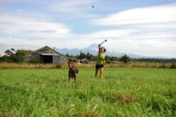 Benson Rode Honden Ballenwerper Met Ergonomische Handgreep – Inclusief Tennisbal – 38cm – Rood | Balwerper Voor Hond | Bal Werpen | Apporteer Speelgoed | Hondenspeelgoed -Hondenbenodigdheden 1200x798 13