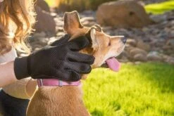 Merkloos Vachtverzorgingshandschoen -Hondenbenodigdheden 1200x800 1