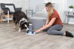 Trixie Dog Activity Gambling Tower - 27X25 CM -Hondenbenodigdheden 1200x800 103