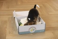 Merkloos Beeztees Puppy Cadeaupakket - Puppy Pakket - Leuke Box Met Puppy Speelgoed En Snacks -Hondenbenodigdheden 1200x800 128