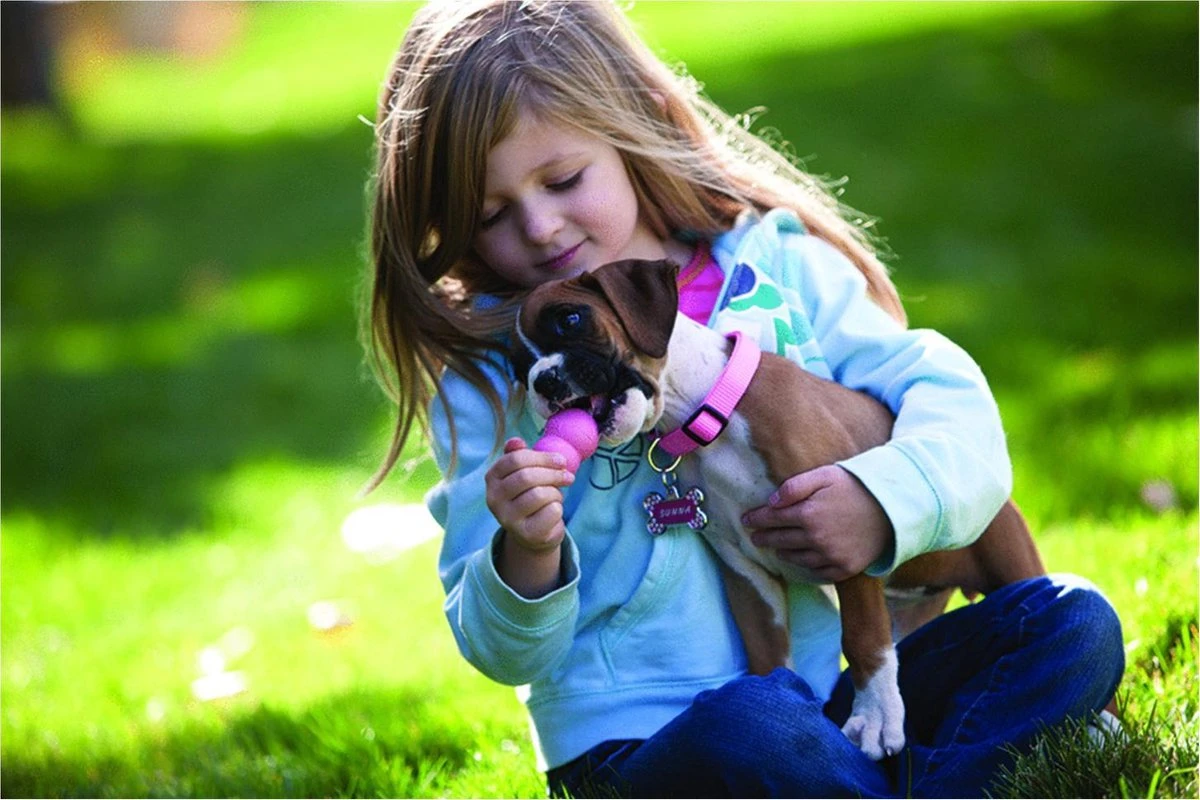 Kong Puppy - Hondenspeelgoed - Assorti - M 20 Kong Puppy - Hondenspeelgoed - Assorti - M - Afbeelding 20