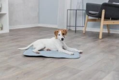 Trixie Junior Ligmat Fresh Lichtblauw - 60X50 CM -Hondenbenodigdheden 1200x800 54