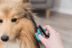 Trixie Gezicht- En Potenschaar Kunststof / Rvs 8 Cm -Hondenbenodigdheden 1200x800 6