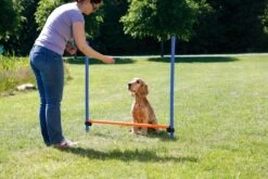 Trixie Dog Activity Agility Horde - Blauw/Oranje - 123 X 115 X 3 Cm -Hondenbenodigdheden 1200x800 67