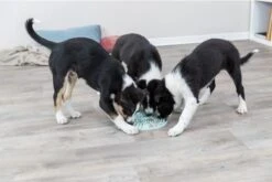 Trixie Junior Likplaat Mintgroen - 21X21 CM -Hondenbenodigdheden 1200x800 81