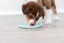 Trixie Junior Likplaat Mintgroen (15X15 CM) -Hondenbenodigdheden 1200x800 90