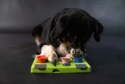 Eat Slow Live Longer Puzzel Rectangle – Intelligentie Speelgoed Voor Honden – Interactief Hondenspeelgoed – Uitdagende Hondenpuzzel – Gerecyclede Materialen – Te Vullen Met Snacks - 25x26x5 Cm - Groen 8 Eat Slow Live Longer Puzzel Rectangle – Intelligentie Speelgoed Voor Honden – Interactief Hondenspeelgoed – Uitdagende Hondenpuzzel – Gerecyclede Materialen – Te Vullen Met Snacks - 25x26x5 Cm - Groen -Hondenbenodigdheden 1200x800 95