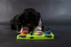 Eat Slow Live Longer Puzzel Rectangle – Intelligentie Speelgoed Voor Honden – Interactief Hondenspeelgoed – Uitdagende Hondenpuzzel – Gerecyclede Materialen – Te Vullen Met Snacks - 25x26x5 Cm - Groen 10 Eat Slow Live Longer Puzzel Rectangle – Intelligentie Speelgoed Voor Honden – Interactief Hondenspeelgoed – Uitdagende Hondenpuzzel – Gerecyclede Materialen – Te Vullen Met Snacks - 25x26x5 Cm - Groen -Hondenbenodigdheden 1200x800 97