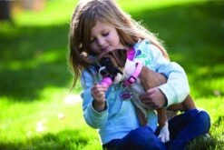 Kong Puppy - Hondenspeelgoed - Assorti - L 31 Kong Puppy - Hondenspeelgoed - Assorti - L -Hondenbenodigdheden 1200x801 3