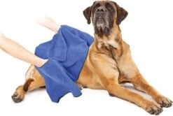 Duvo+ Hondenhanddoek 70 X 100 Cm -Hondenbenodigdheden 1200x808