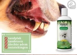 Easy Mondwater Voor Honden - 237 Ml - Tegen Stinkende Adem - Tandplak - Tandsteen - Tandvleesproblemen -Hondenbenodigdheden 1200x852 6
