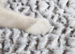 Merkloos Zelfverwarmende Dierendeken Zonder Stroom Thermo Deken Hond Kat Inclusief Adreslabel 70 X 47 Cm -Hondenbenodigdheden 1200x878 1