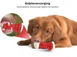 3-in-1 Hondenkauwbot - Gebitsverzorging - IQ Training - Voedsel Afgifte Functie - Geometrisch Ontwerp - Duurzaam & Milieuvriendelijk - Kauwbot - Honden - Hondenbot - Rood -Hondenbenodigdheden 1200x890 5
