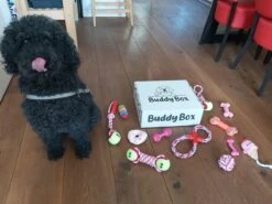 Honden Speelgoed - Puppy Speelgoed - 11 Stuks - Roze - 1 Speeltje Gratis - Honden Knuffel - Trektouw - Honden Speeltjes -Hondenbenodigdheden 1200x899 11