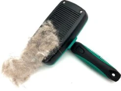 ElegaPet Hondenborstel Groen - Hondenhaar Verwijderen - Kat En Hondenkam - Slickerborstel Hond En Kat - Groomer - Ondervacht Kam Hond - Borstel Hond - Hondenborstel Langharig En Kortharig - Slickerborstel - Anti Klit/Knopen/Huidschilfers -Hondenbenodigdheden 1200x902