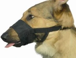 Beeztees Comfort Muilband - Hond - M - 15-20 Cm -Hondenbenodigdheden 1200x918