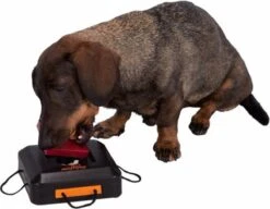 Trixie Dogtoy Dog Activity Strategy Game Gamble Box - Piepend Speelgoed - 15cm X 15cm X 9cm - Zwart/rood/oranje -Hondenbenodigdheden 1200x935 1