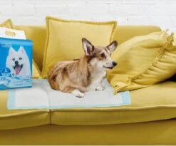 Nobleza 48LXE - Puppy Training Pads - 60 X 90 Cm - Zindelijkheidstraining - 120 Stuks -Hondenbenodigdheden 1200x997 3