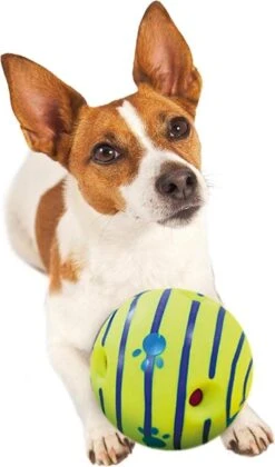 Wobble Wag Giggle Bal+ Honden Touw (30cm)- Honden Bal - Honden Speeltjes - Honden Speelgoed Intelligentie -Hondenbenodigdheden 705x1200 1