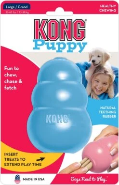 Kong Puppy - Hondenspeelgoed - Assorti - M 27 Kong Puppy - Hondenspeelgoed - Assorti - M -Hondenbenodigdheden 776x1200 1