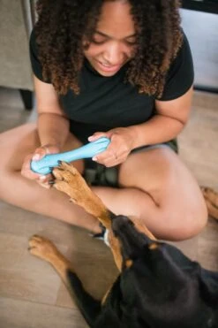 West Paw Zogoflex Hurley - Super Sterk Kauwbot Voor Honden - Kleur: Blauw, Maat: Large -Hondenbenodigdheden 800x1200 17