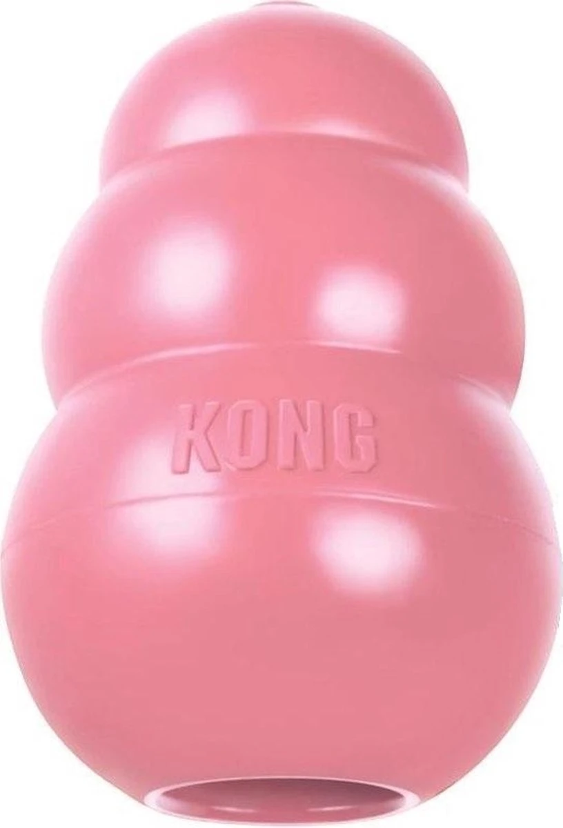 Kong Puppy - Hondenspeelgoed - Assorti - L 18 Kong Puppy - Hondenspeelgoed - Assorti - L - Afbeelding 18