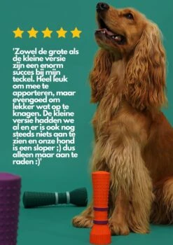 Furmey Zoomies - Honden Speelgoed - Hondenspeeltjes - Kauwbotten Hond - S Groen - 17 Cm -Hondenbenodigdheden 848x1200 3