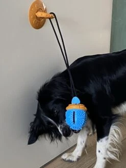 Merkloos Speelbal -Hondenspeelgoed Interactief - Hondenspeeltjes - Kauwspeelgoed Hond - 45 Cm -Hondenbenodigdheden 900x1200 29