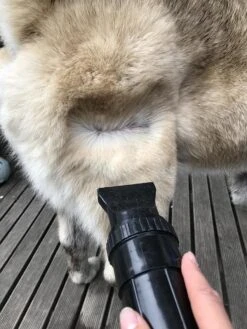 Waterblazer Hond - Hondendroger -Hondenbenodigdheden 900x1200 3