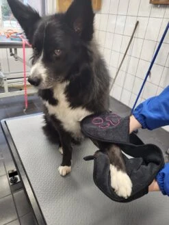 N4dogs – Hondenhanddoek – Honden Handdoek – Microvezel Handdoek – Handdoek Hond – Droogdoek Hond – Dierendeken – Sterk Absorberend – Handdoek Met Zakken - Zwart - 66 X 23 Cm -Hondenbenodigdheden 900x1200 4