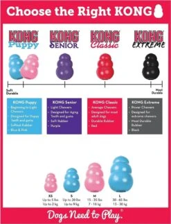 Kong Puppy - Hondenspeelgoed - Assorti - L 25 Kong Puppy - Hondenspeelgoed - Assorti - L -Hondenbenodigdheden 917x1200 1