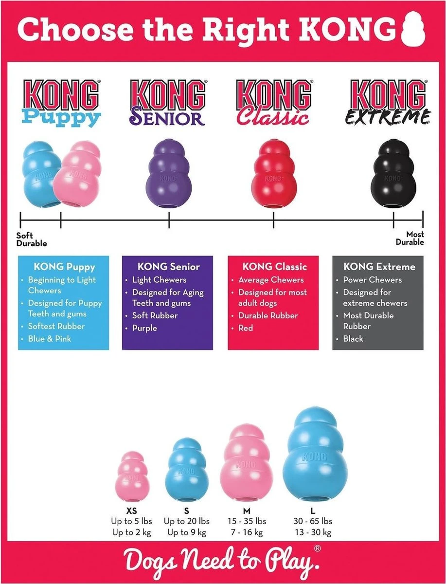 Kong Puppy - Hondenspeelgoed - Assorti - L 6 Kong Puppy - Hondenspeelgoed - Assorti - L - Afbeelding 6