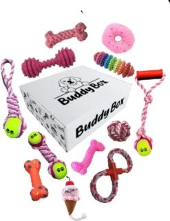 Honden Speelgoed - Puppy Speelgoed - 11 Stuks - Roze - 1 Speeltje Gratis - Honden Knuffel - Trektouw - Honden Speeltjes