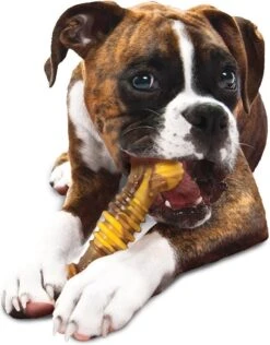 Nylabone Extreme Kauwbot Textuur Met Rund- En Kaassmaak -Hondenbenodigdheden 937x1200 5