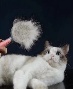 Pakeway T9 - Kattenborstel - Zelfreinigende Kattenkam - Roze - Massageborstel - 19,3 Cm 20 Pakeway T9 - Kattenborstel - Zelfreinigende Kattenkam - Roze - Massageborstel - 19,3 Cm -Hondenbenodigdheden 983x1200 1